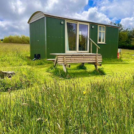 Stepping Stones Glamping 'The Olive' Villa Bantry Exteriör bild