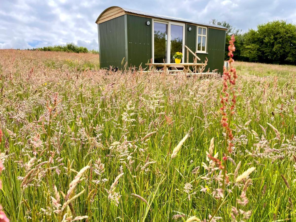 Stepping Stones Glamping 'The Olive' Villa Bantry Exteriör bild