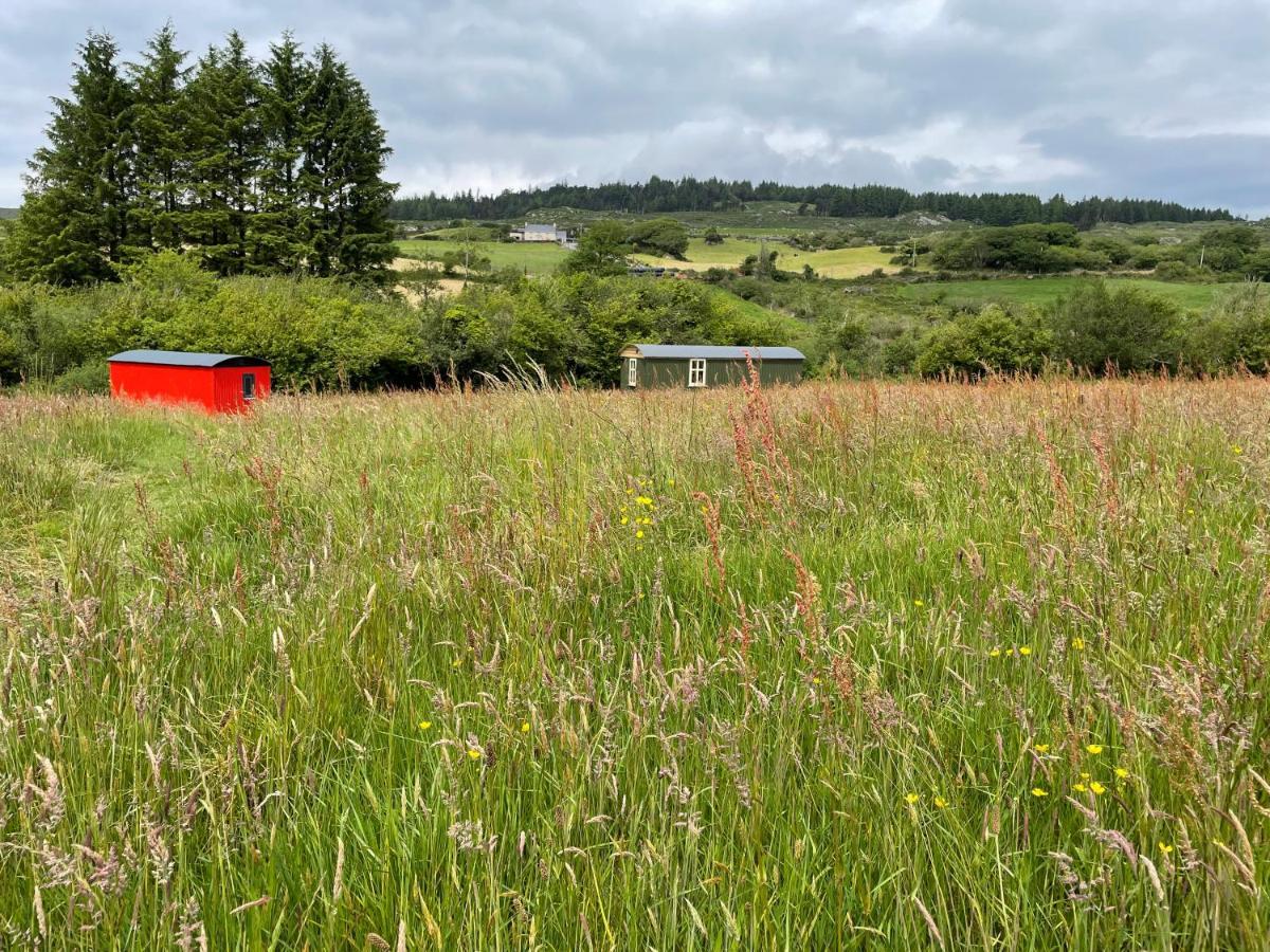 Stepping Stones Glamping 'The Olive' Villa Bantry Exteriör bild
