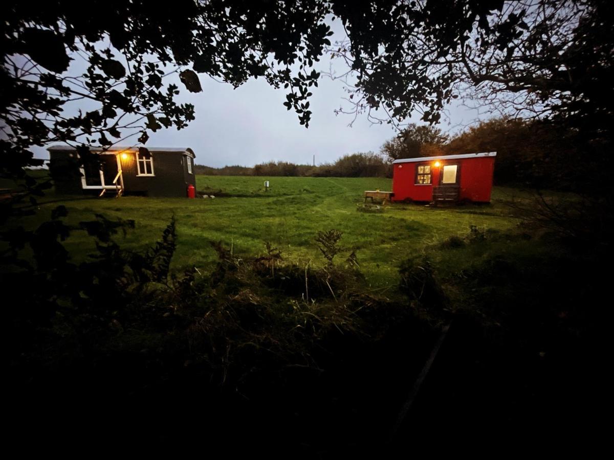 Stepping Stones Glamping 'The Olive' Villa Bantry Exteriör bild