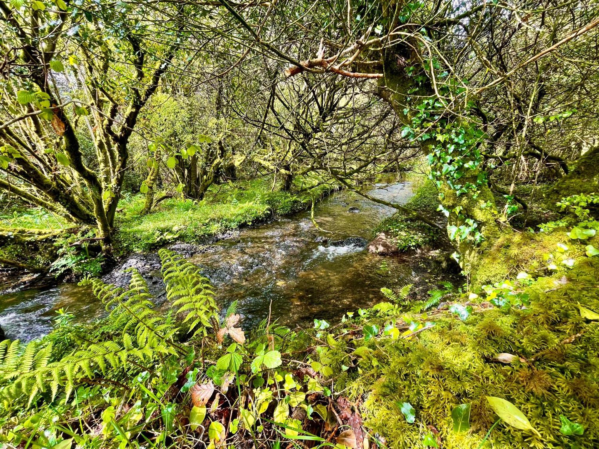 Stepping Stones Glamping 'The Olive' Villa Bantry Exteriör bild